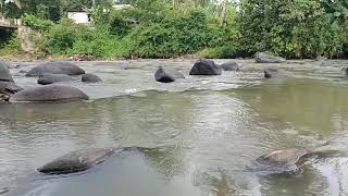 Download lagu Broery Marantika Ft. Dewi Yull - Hits Tembang Kenangan Terbaik | Rindu Yang Terlarang | Tanpa Iklan mp3