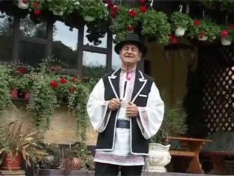 gigi  v teodorescu usor puiule usorx