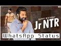 Jr NTR Birthday Happy Birthday Jr NTR Jr NTR Birthday Status Jr NTR Song Jr Ntr Birthday Special
