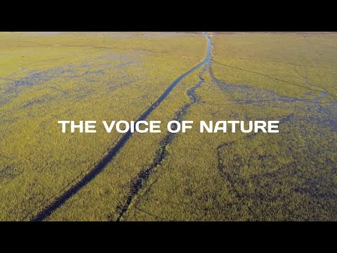 The Voice of Nature