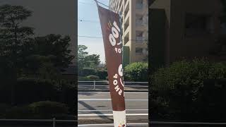 今日いい感じだわ夏大好きたかきち
