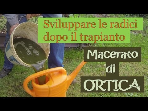 Come aumentare la potenza negli uomini 25 anni Polline influenza la potenza