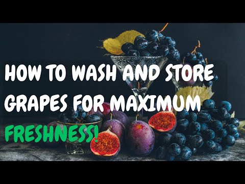 How to Wash and Store Grapes for Maximum Freshness!