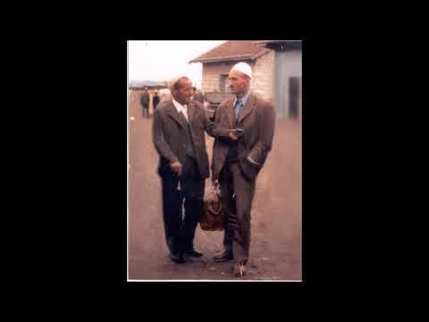 Tahir Drenica dhe Hashim Shala-Ali Pasha i Ri