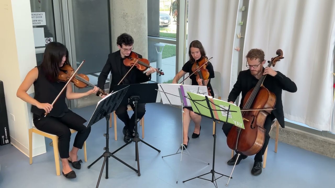 Promotional video thumbnail 13 for Windy City Strings