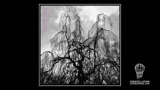 Colin Stetson and Sarah Neufeld | &quot;The rest of us&quot;