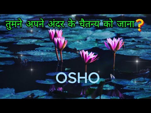तुमने अपने अंदर के चैतन्य को जाना?|| Osho Hindi Speech || SelfRealization Osho Speech