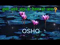 तुमने अपने अंदर के चैतन्य को जाना Osho Hindi S