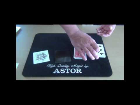 Zebra Code Prediction by Astor and Louis Black