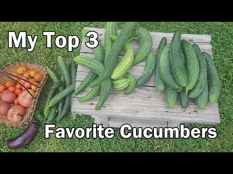 Vertical Gardening 12 Vegetables That Can Be Grown On A Trellis