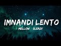 Mellow & Sleazy x SjavasDeejay x TitoM - Imnandi lento (feat. Tman Xpress) (Lyrics)