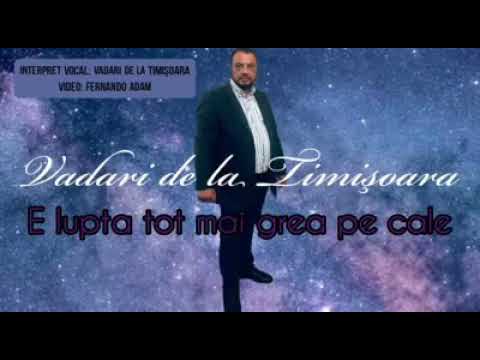 vadari de la timisoara - e lupta tot mai grea