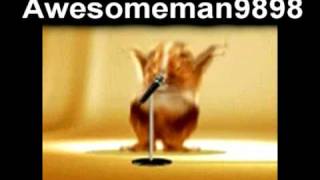 Hampton the Hampster The Official Hamster Dance Song