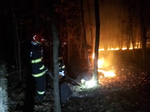 50 DE HECTARE DE VEGETAȚIE AU ARS ÎN LOCALITATEA LIVEZI