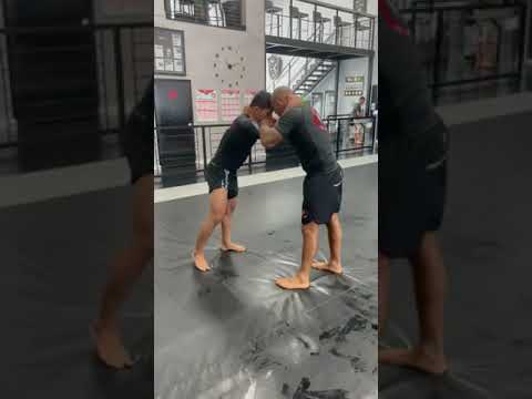 Mica Galvao v. Cyborg Abreu #shorts #bjj #bjjhighlights