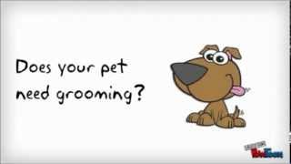 Best Dog Clippers - Top 10 Picks of 2014