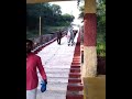 சென்னிமலை முருகன் கோவிலில் காளை மாடு
