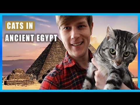 Cats in Ancient Egypt