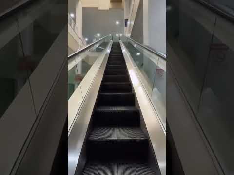 V&iacute;deo 6