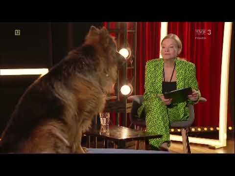 TVP robi wywiad z psem