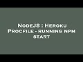 NodeJS Heroku Procfile Running Npm Start