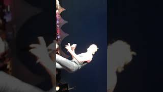 Die Toten Hosen Alles aus Liebe Hamburg 15.08.18
