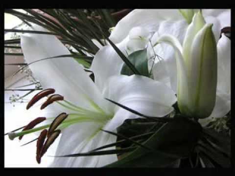 Aurelian Temisan - De ziua ta