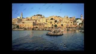 Muslimgauze Files 10