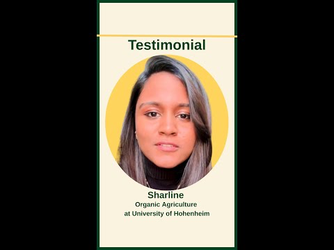 University of Hohenheim