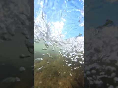 空中に吊られたスイミングプールからは、イタリアのプステリア渓谷の素晴らしい景色を眺めることができます。  庭園