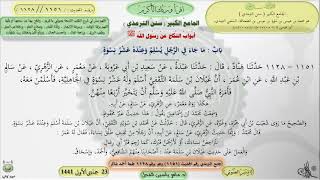 صورة شرح الجامع الكبير سنن الترمذي : باب ماجاء في الرجل يسلم وعنده عشر نسوة - الحديث1151 ماهر ياسين الفحل