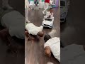 Push up Challenge at All White Party