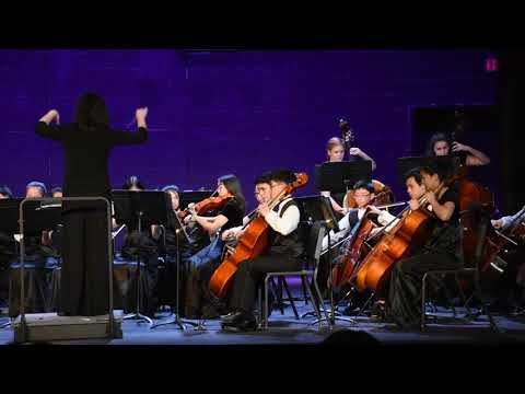 Longfellow Chamber Orchestra -- With Quiet Courage  by Daehn