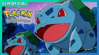 ¡La canción de evolución de Bulbasaur! | Pokémon: Liga Añil | Clip oficial