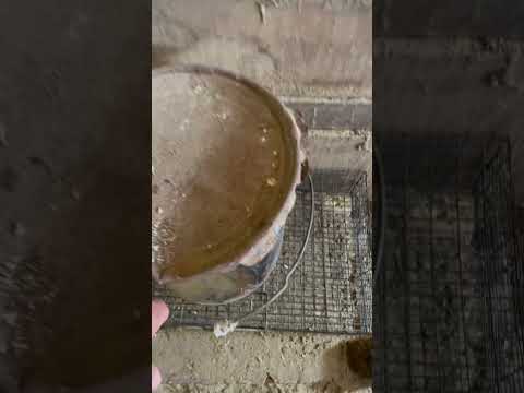Rugged Ranch Rat Trap - humanely catch multiple rats at once without poison.