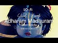 Adharam Madhuram Lo Fi Swasti Mehul Hey Krishn Tere Hoth Madhur Slowed Reverb Authentic Tune