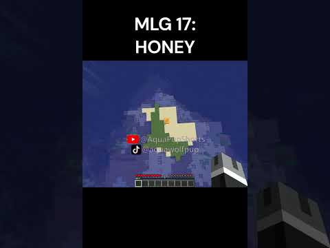Minecraft MLG: EPIC AquaWolfPupShorts Adventure