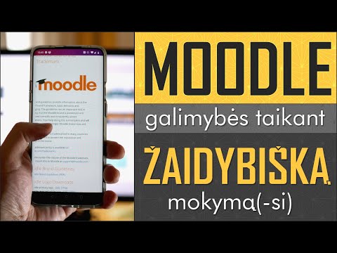 mokymasis apie kriptovaliut prekybos mainas
