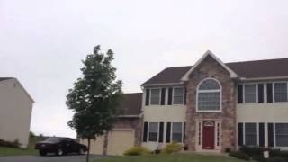 Birds trying to kill me while walking (original air date June of 2012)