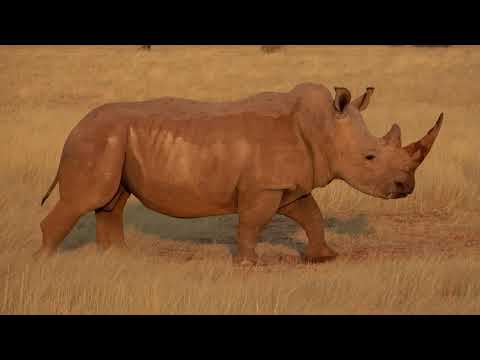 Namibia - Botswana - Simbabwe