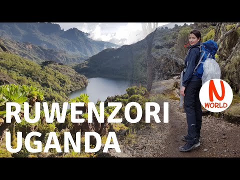 The legendary Mountains of the Moon - Avatar landscape (Africa's third highest peak 5109 m)