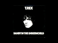 hang ups  t.rex