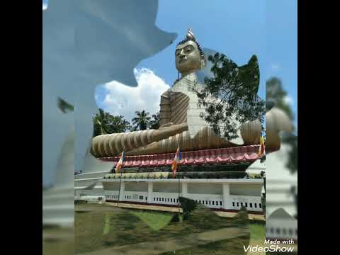 T.M.Jayarathna | Sadawathurak see #buddhism#sinhalasong