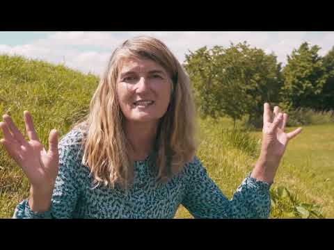 Do galpão de vasos | Por que escolher produtos orgânicos para a pele..| Remédios Neal's Yard