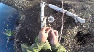 Ловля щуки на живца ротана