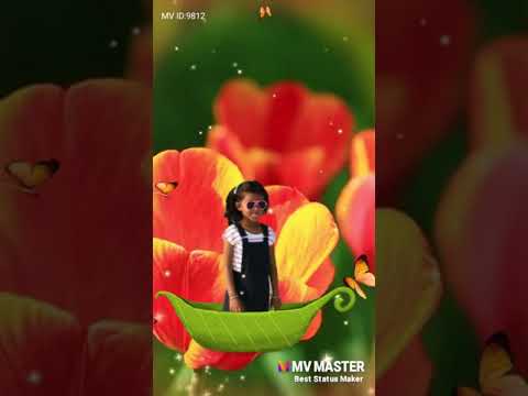 Happy birthday Devki(3)