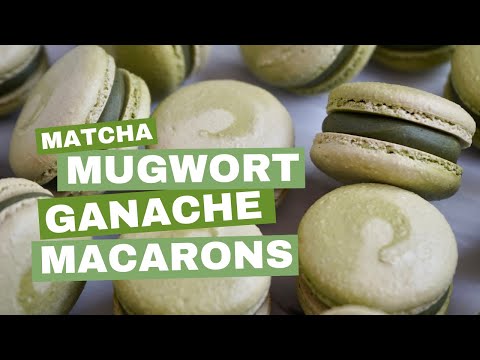 Matcha Mugwort Macarons | Matcha Mugwort White Chocolate Ganache with Homemade Mochi Pieces