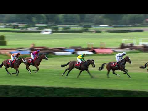 25. 7. 2020 - 6. dostih - Cena města Pardubic –  II. kval. na Vp se Sp – Memoriál Mjr. M. Svobody