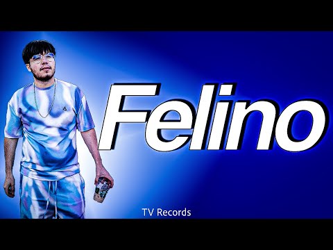 Hans El Oso - Felino (Letra)