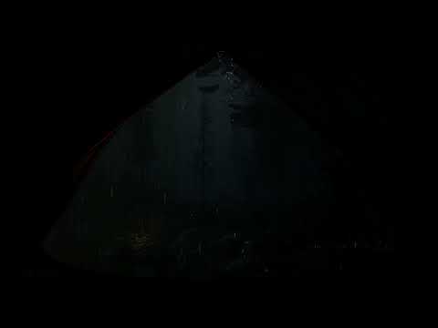 Camping in Forest when it's heavily raining, let the door open & watch rain falling outside tent🌧️